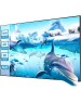 Экраны CACTUS Экран Alr Expert CS-PSALRE-224X127-MM магнитное крепление, 224х127 см, 16:9, настенный черный