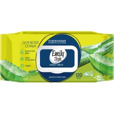 Салфетки влажные MASTER FRESH С0008171 ПРОМО Emily Style влаж салфетки Для ВСЕЙ семьи АЛОЯ 100+20 штук упаковка с клапаном (+20%