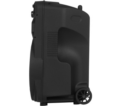 Портативная аудиосистема BLACKTON Bt PBS2113 черный