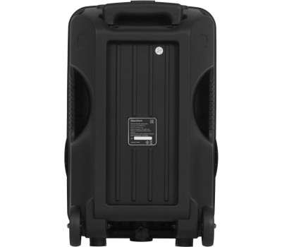 Портативная аудиосистема BLACKTON Bt PBS2113 черный