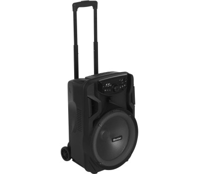 Портативная аудиосистема BLACKTON Bt PBS2113 черный