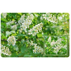 MULTIDOM Салфетка 