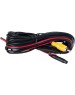 Камера заднего вида INTERPOWER IP-616 (рамка под номерной знак)