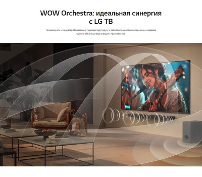 Телевизор LG 65QNED86A6A.ARUG (10131010/260226/5055622/1, ИНДОНЕЗИЯ)