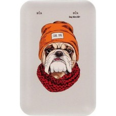 Power Bank RITMIX RPB-10007 BULLDOG