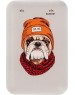 Power Bank RITMIX RPB-10007 BULLDOG