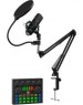 Микрофон ОКЛИК SM-600G черный