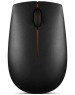 Мышь беспроводная LENOVO Мышь беспроводная 300 Wireless Compact, радио, оптическая, USB, 1000dpi, черный [gx30k79401]
