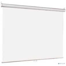 Lumien Eco Picture [LEP-100110] Настенный экран 220х220см (рабочая область 214х214 см) Matte White восьмигранный корпус, возможность потолочн./настенного крепления, уровень в комплекте, 1:1 (треуголь