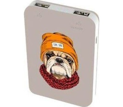 Power Bank RITMIX RPB-10007 BULLDOG