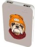 Power Bank RITMIX RPB-10007 BULLDOG