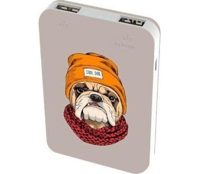 Power Bank RITMIX RPB-10007 BULLDOG