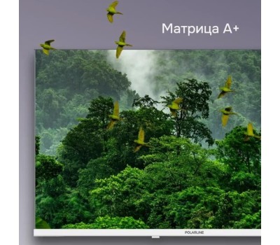 Телевизор POLARLINE 24PL52TC HD белый