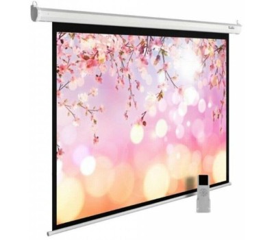 Экраны CACTUS Экран MotoExpert CS-PSME-200x200-WT, 200х200 см, 1:1, настенно-потолочный белый