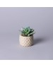 Искусственные цветы LEFARD 535-399 суккулент в горшке 10*10,5см