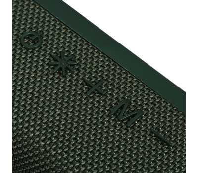 Портативная акустика SOUNDMAX SM-PS5019B(зелёный)