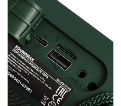 Портативная акустика SOUNDMAX SM-PS5019B(зелёный)