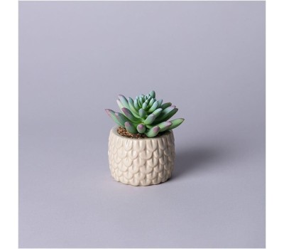 Искусственные цветы LEFARD 535-399 суккулент в горшке 10*10,5см