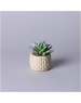 Искусственные цветы LEFARD 535-399 суккулент в горшке 10*10,5см