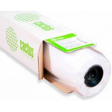 CACTUS Бумага Eco CS-LFP80-610457E 24