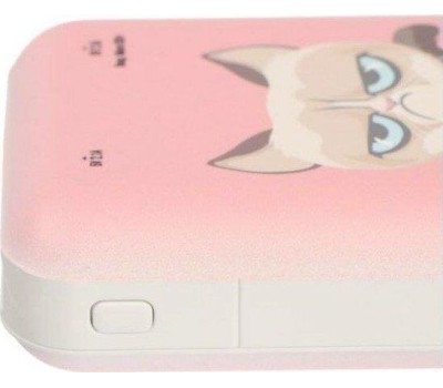 Power Bank RITMIX RPB-10007 GRUMPY CAT