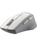 Беспроводная мышь A4TECH Fstyler FG35 серебристый/белый