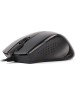 Проводная мышь A4TECH V-Track Padless N-500F оптическая (1000dpi) черная