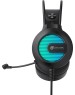 OKLICK Наушники с микрофоном Оклик HS-L300G Black черный 2.2м мониторные USB оголовье (1796949)