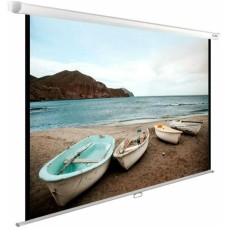 Экраны CACTUS Экран WallExpert CS-PSWE-200x125-WT, 200х125 см, 16:10, настенно-потолочный