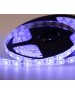 Лента светодиодная LAMPER Лента светодиодная 12В, SMD5050, 14,4Вт/м, 60 LED/м, синий, 10мм, 5м, IP65
