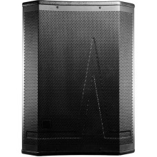 Сабвуфер УРАЛ X ARIS J.V. УРАЛ ПРО Имбирь Саб 318-А