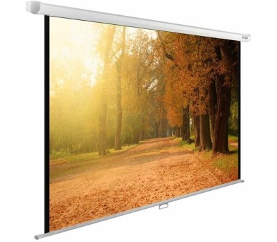 Экраны CACTUS Экран WallExpert CS-PSWE-200x125-WT, 200х125 см, 16:10, настенно-потолочный