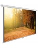 Экраны CACTUS Экран WallExpert CS-PSWE-200x125-WT, 200х125 см, 16:10, настенно-потолочный