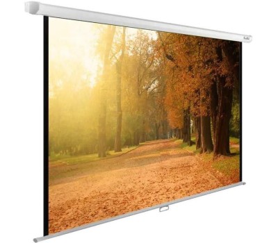 Экраны CACTUS Экран WallExpert CS-PSWE-200x125-WT, 200х125 см, 16:10, настенно-потолочный