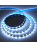 Лента светодиодная LAMPER Лента светодиодная 12В, SMD5050, 14,4Вт/м, 60 LED/м, синий, 10мм, 5м, IP65