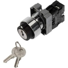 REXANT (36-5552) BD21 2P ПЕРЕКЛЮЧАТЕЛЬ С ЗАМКОМ NO, ЧЕРНЫЙ