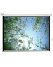 Экраны LUMIEN Экран Eco Control LEC-100108, 305х229 см, 4:3, настенно-потолочный белый
