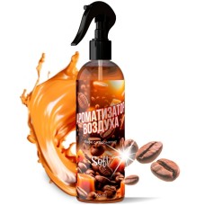 Ароматизатор воздуха CLEAN&GREEN Ароматизатор воздуха Soft 