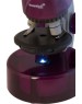 Микроскоп LEVENHUK LABZZ M101 AMETHYST Аметист