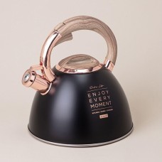 Чайник AGNESS 908-072 ТЮДОР индукция 3,0л