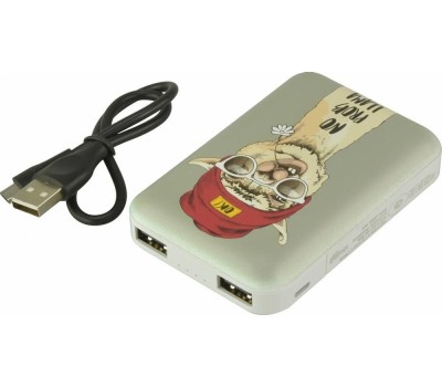 Зарядное устройство RITMIX RPB-10007 Lama