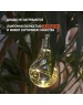Гирлянда NEON-NIGHT (303-076) Гирлянда 