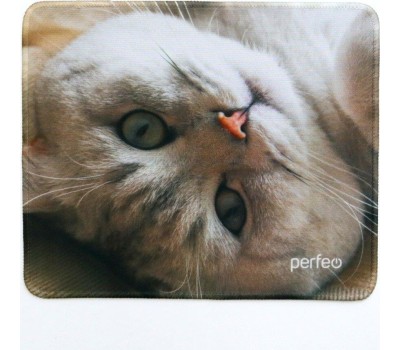 Коврик для компьютерной мыши PERFEO (PF_D0654) 