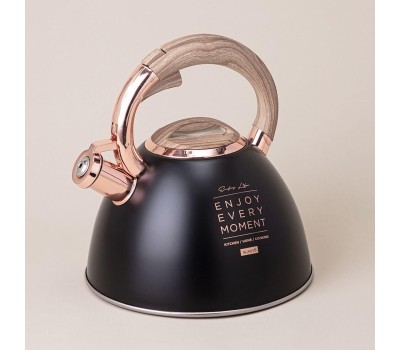 Чайник AGNESS 908-072 ТЮДОР индукция 3,0л