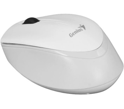 GENIUS 31030030402