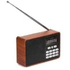 Радиоприемник PERFEO (PF_D0573) ALPINIST , коричневый