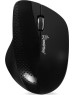 Мышь беспроводная SMARTBUY (SBM-309AG-K) 309AG черная