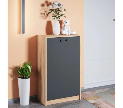 Тумба для обуви МЕБЕЛЬ-КОМПЛЕКС РИНО Тумба для обуви высокая Дуб золотой крафт/Антрацит (1 кор.)