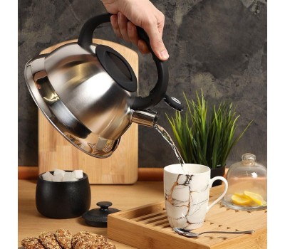 Чайник DANIKS MSY-013R (296817) 2.8 л