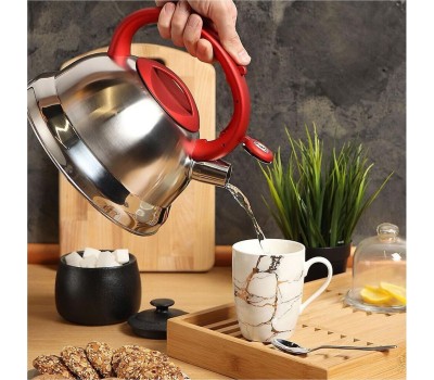 Чайник DANIKS MSY-013R (296817) 2.8 л